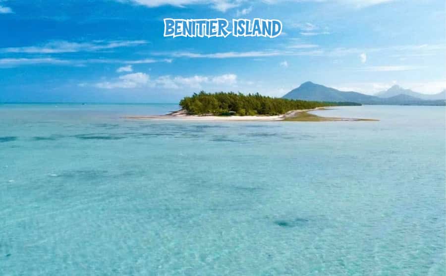 Mauritius: Benitier Island - Swim Dolphins - Speedboat & BBQ - Who will enjoy this day most