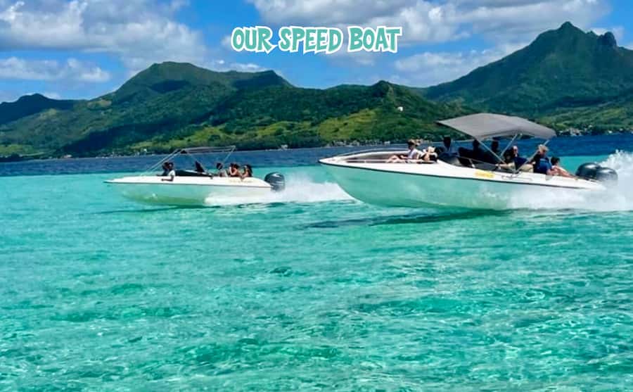 Mauritius: Benitier Island - Swim Dolphins - Speedboat & BBQ - The dolphin encounter, excitement with limits