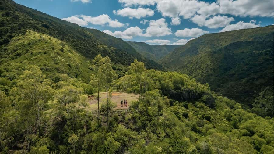 Mauritius: Black River Gorges National Park 3-Hour Hike - Key points to know before you book