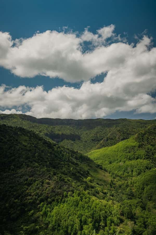 Mauritius: Black River Gorges National Park 3-Hour Hike - Three hours through forest, gorges, and valleys