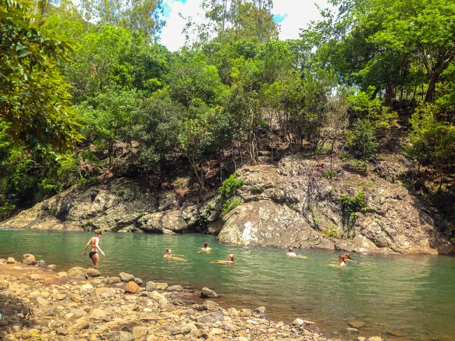 Mauritius: Black River Gorges National Park 3-Hour Hike - Viewpoints above the mountains and sea
