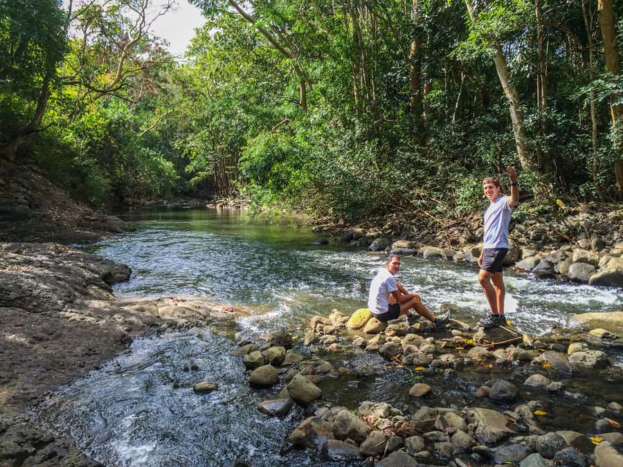 Mauritius: Black River Gorges National Park 3-Hour Hike - Finishing with a swim in the Black River