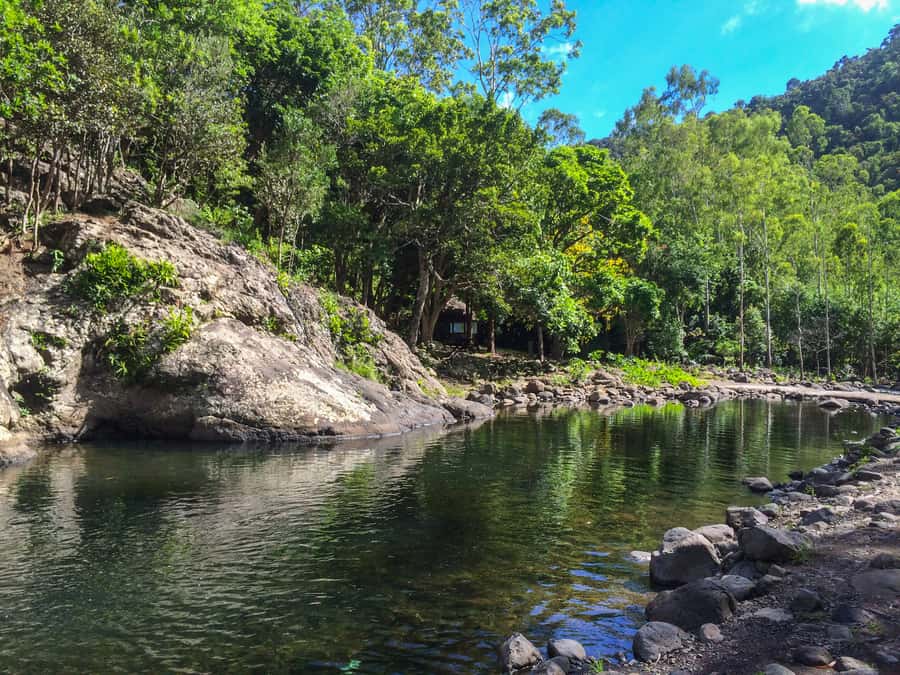Mauritius: Black River Gorges National Park 3-Hour Hike - Who should book this Black River Gorges outing
