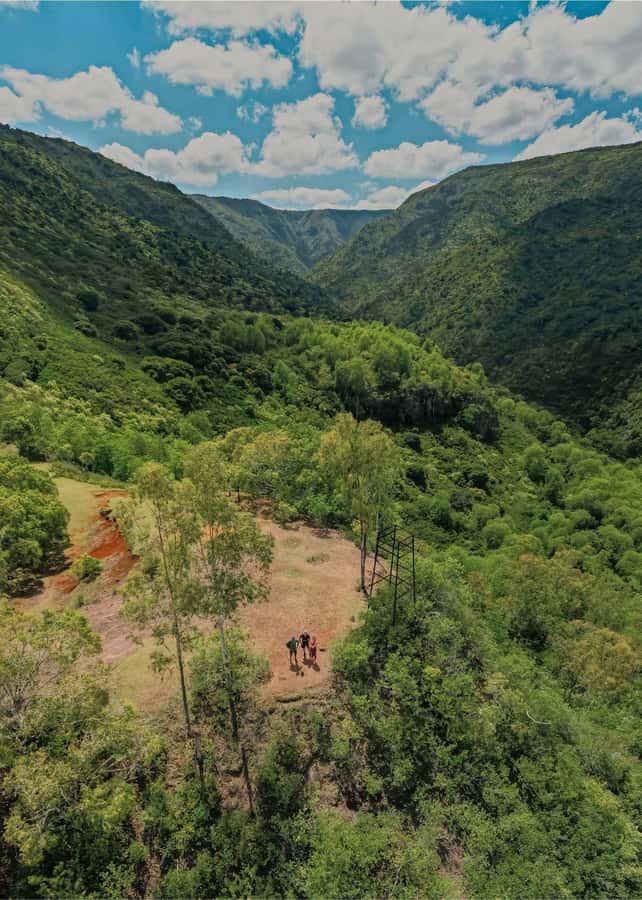 Mauritius: Black River Gorges National Park 3-Hour Hike - Useful planning advice for the morning or afternoon