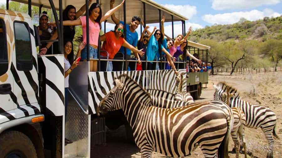 Mauritius: Casela Nature Parks Entrance Ticket with Transfer - Tulawaka Gold Coaster and optional thrills