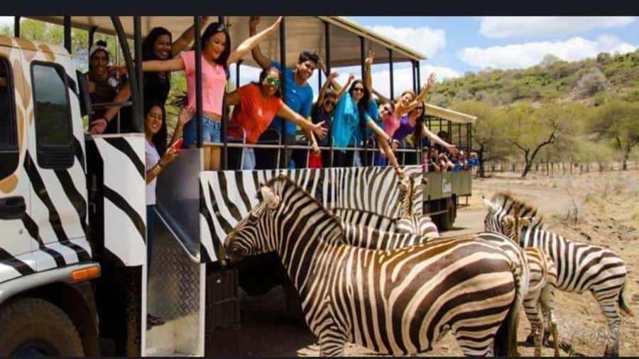 Mauritius: Casela nature parks & flic en flac beach - Casela first, Flic en Flac after