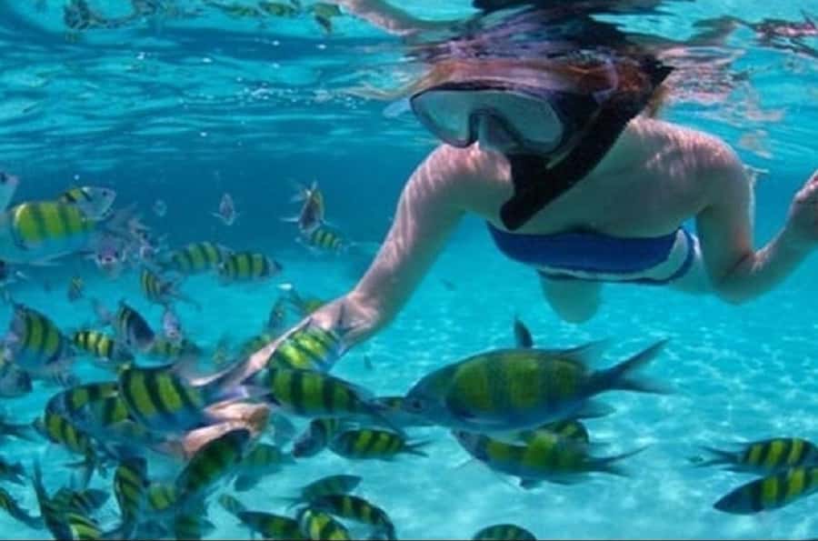 Mauritius: Catamaran cruise to 3 Northern Isles with lunch - From Grand Bay to Mauritius’ Northern Isles