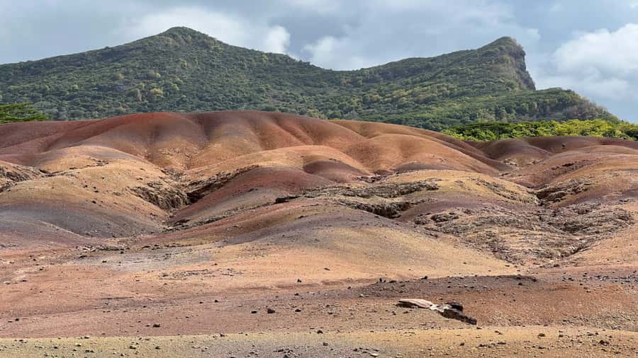 Mauritius: Chamarel 7 Colours & Waterfalls, South-West Tour - Rhumerie de Chamarel and unlimited tastings