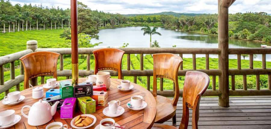 Mauritius: Crocodile Park and Tea Factory Tour with Tasting - Touring Bois Chéri, Mauritius’s first tea plantation