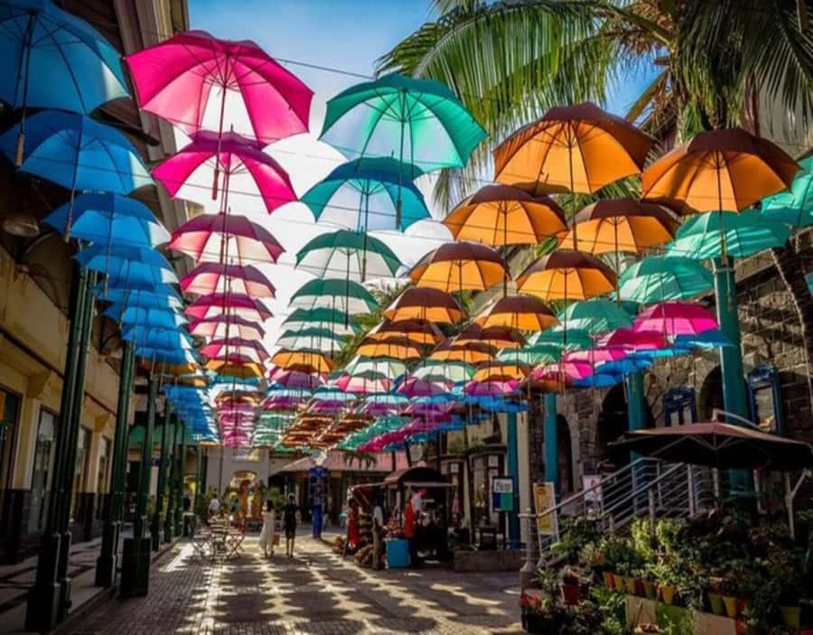 Mauritius: Customizable Private Tour by Car - Why a Private Car Works Well in Mauritius