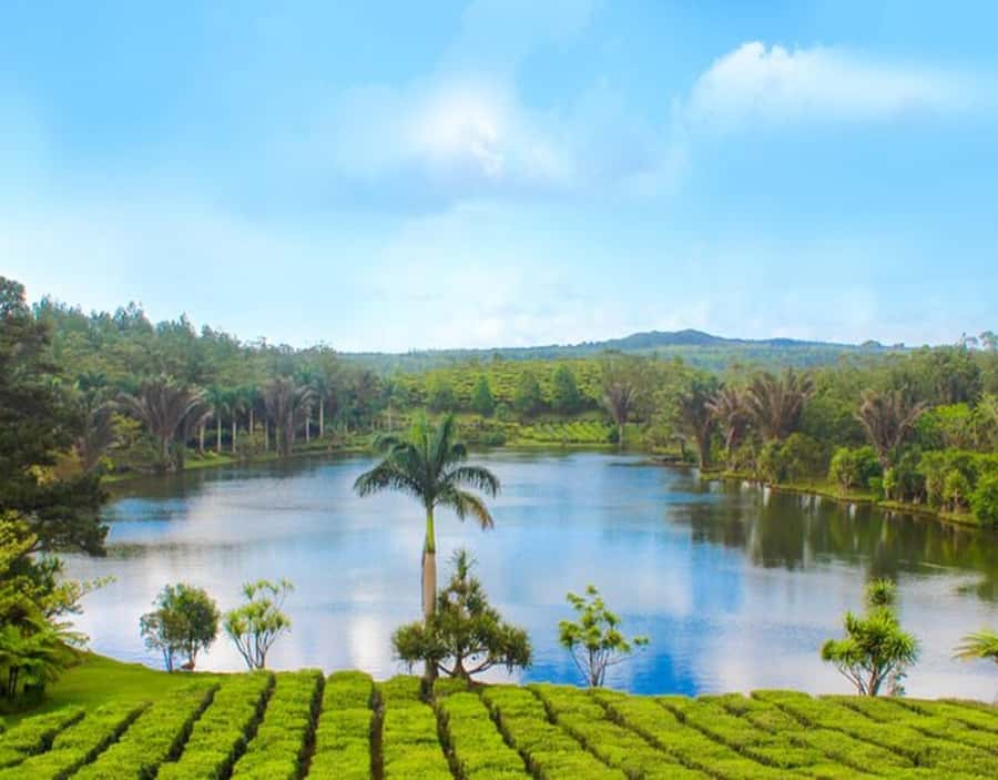 Mauritius: Customizable Private Tour by Car - Start with a Route That Matches Your Priorities