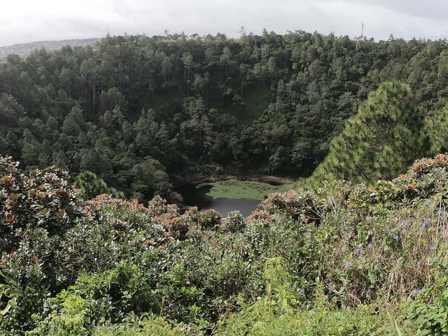 Mauritius: Dolphin Encounter, Trou aux Cerf and Grand Bassin - Grand Bassin and the island’s Hindu heart