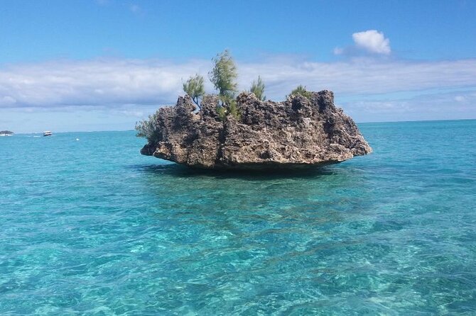 Mauritius : Dolphins Swim and Ile Aux Bénitiers with BBQ - Setting out from Tamarin at 7:30 AM