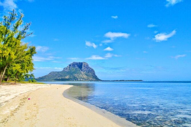 Mauritius : Dolphins Swim and Ile Aux Bénitiers with BBQ - Group size, guides, and the pace of the day
