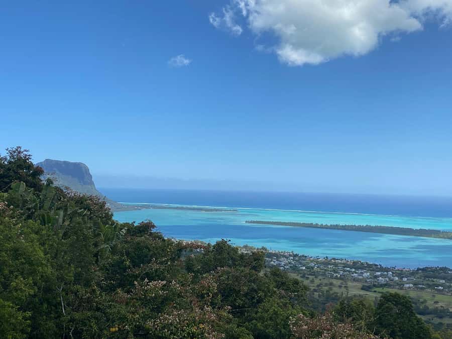 Mauritius: Dolphins watch half-day - Setting out before breakfast