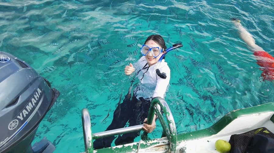 Mauritius: Dolphins watch half-day - The speedboat ride to Tamarin Bay