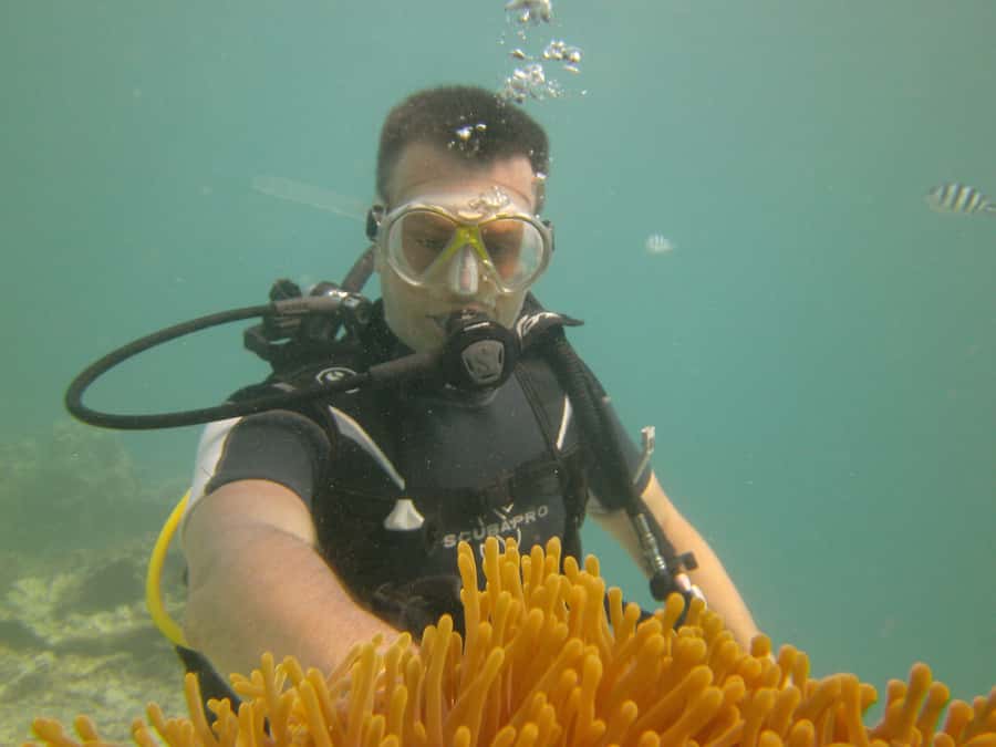 Mauritius: East Belle Mare Scuba Diving Tour - The instructors are the heart of the experience