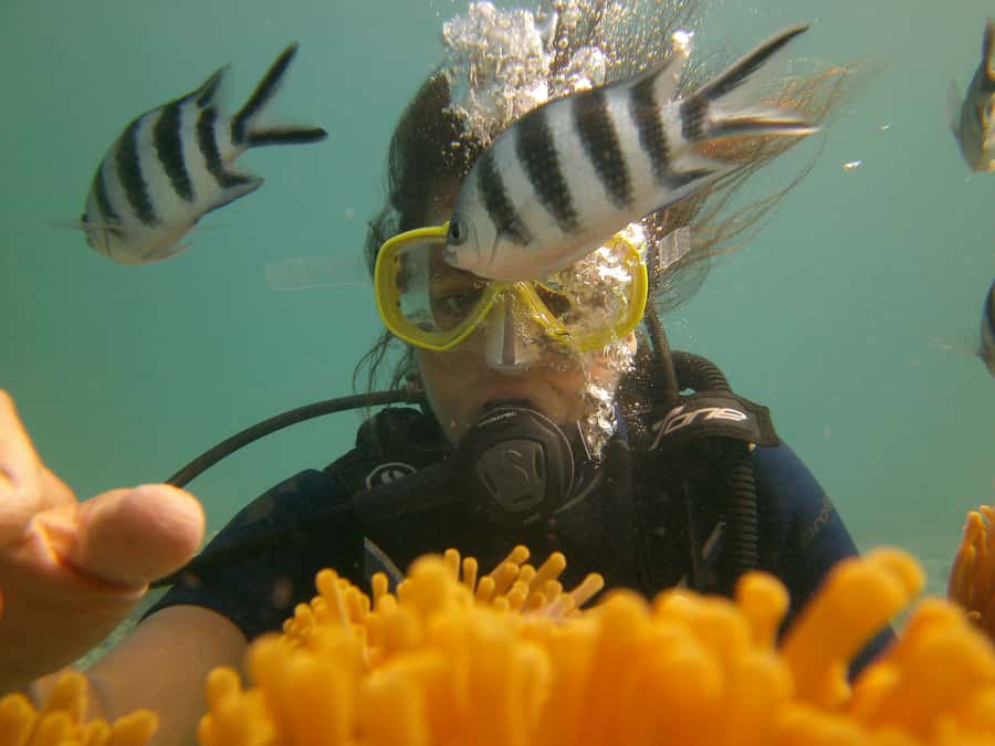 Mauritius: East Belle Mare Scuba Diving Tour - Equipment, transport, and the practical details