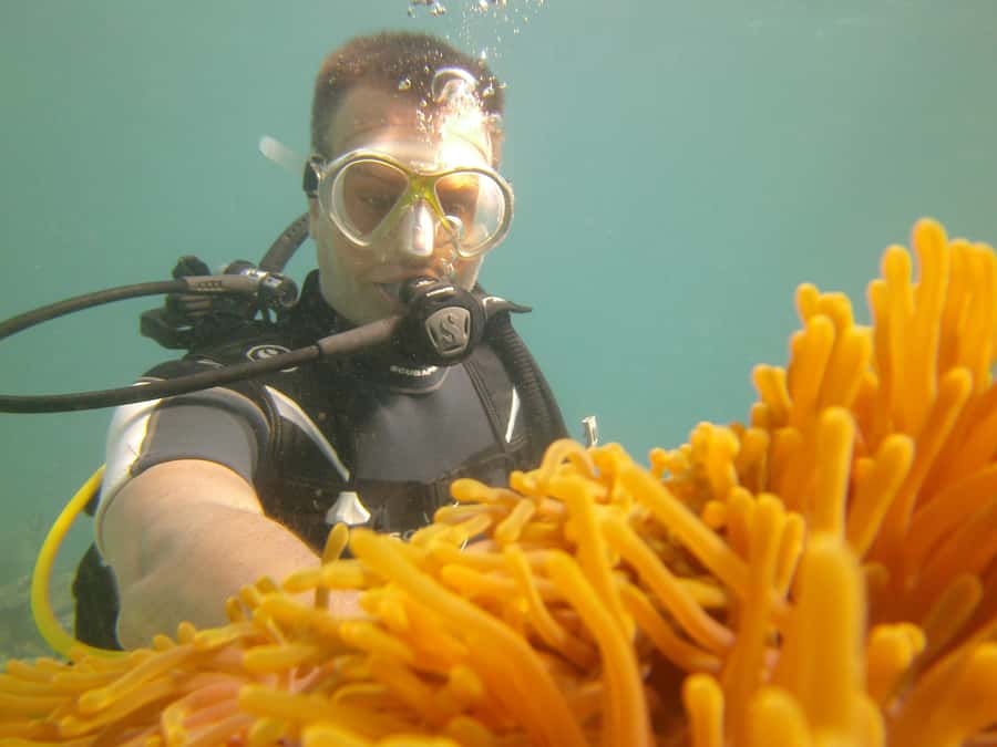 Mauritius: East Belle Mare Scuba Diving Tour - Is $158 a fair price for a first scuba session?