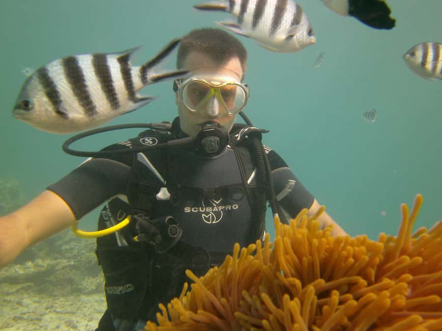 Mauritius: East Belle Mare Scuba Diving Tour - Who should book this Belle Mare experience?