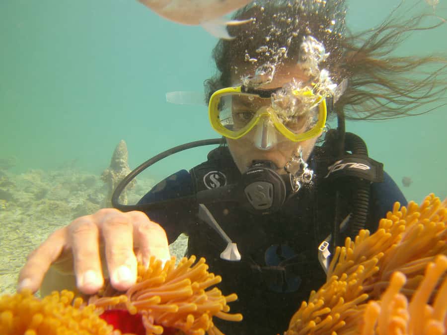 Mauritius: East Belle Mare Scuba Diving Tour - My call: book it if you want a carefully guided first attempt