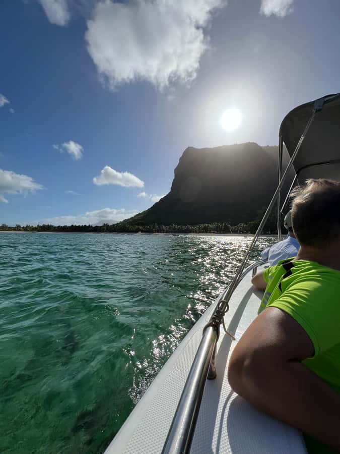 Mauritius Eco Whales Quest, 3-4 hours Expedition - Key points to know before you book