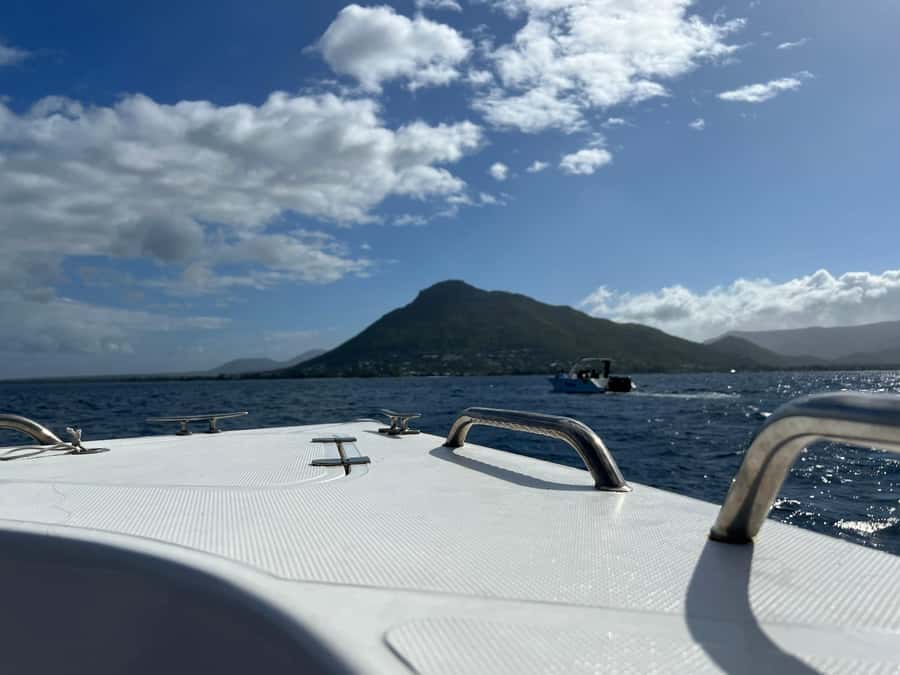 Mauritius Eco Whales Quest, 3-4 hours Expedition - Small boats, private options, and comfort