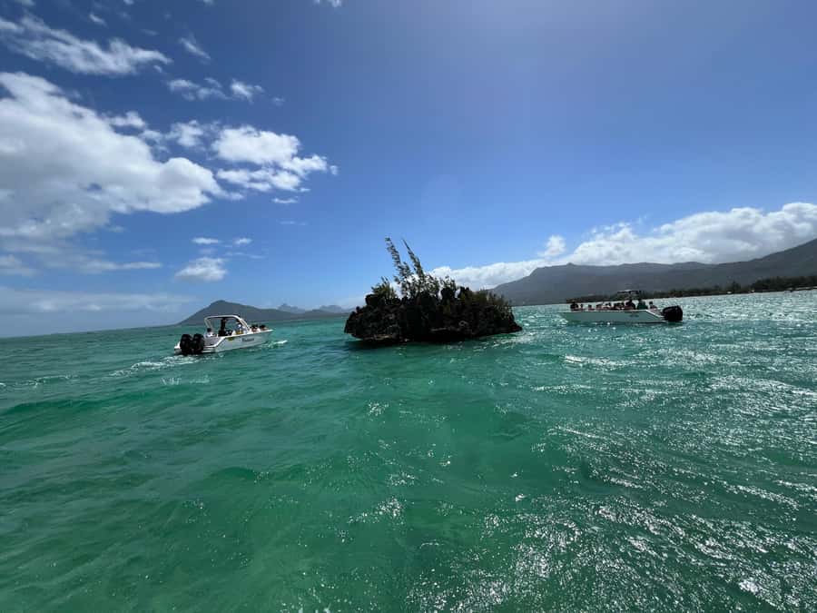 Mauritius Eco Whales Quest, 3-4 hours Expedition - Drinks, snorkeling gear, and what to bring