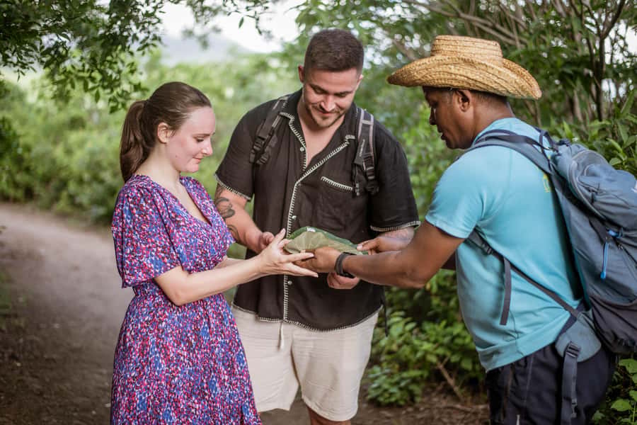 Mauritius: Exclusive Le Morne Sunset Hike & Aperitivo - Reaching the quiet viewpoint above the lagoon