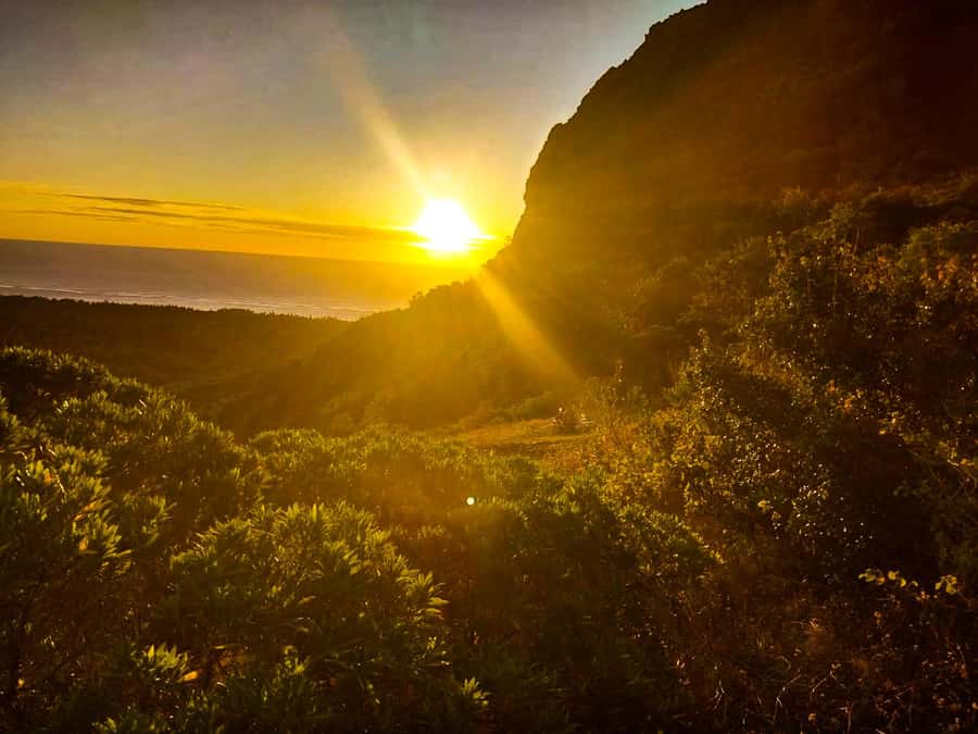 Mauritius: Exclusive Le Morne Sunset Hike & Aperitivo - Meeting at Local Spirit and starting the climb