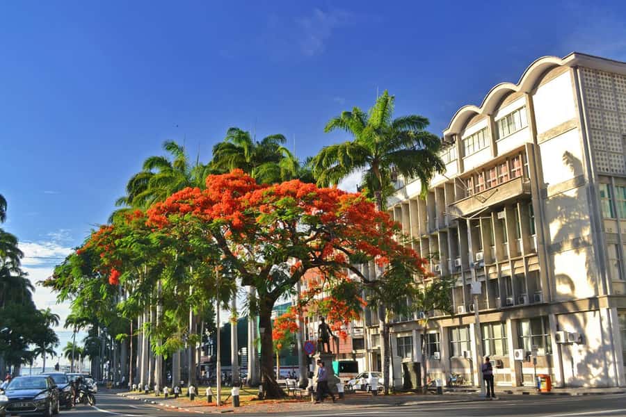 Mauritius: Exclusive North Tour with Pickup - What this north Mauritius day is really about