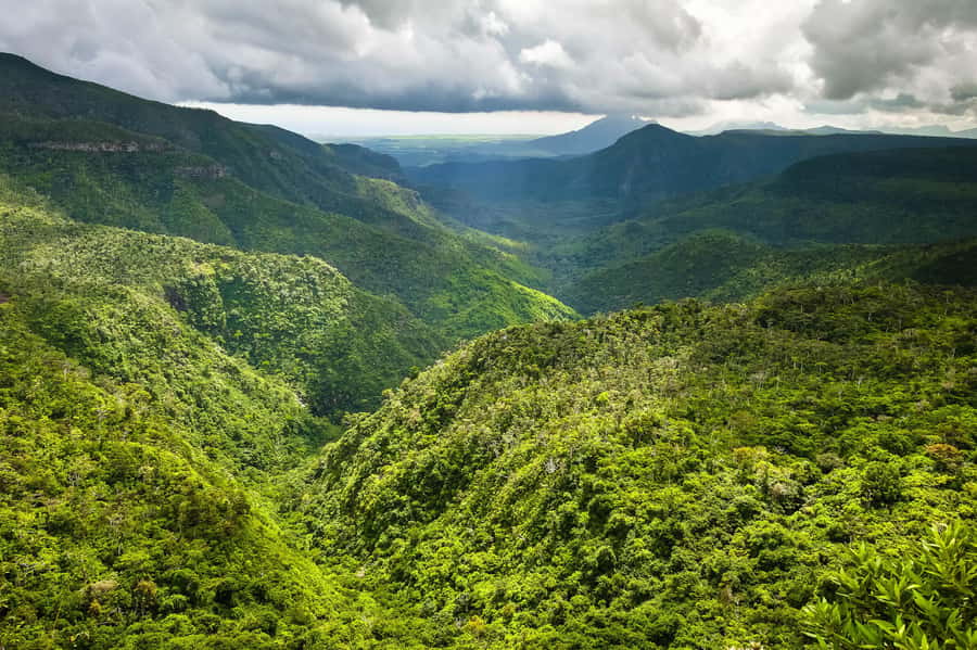 Mauritius: Exclusive South West Tour - How the seven hours usually feel