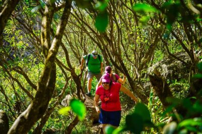 Exploring the Tamarind Falls with a Guide
