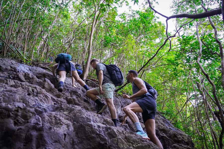 Mauritius: Exploring the Tamarind Falls with a Guide - The best moments along the seven cascades