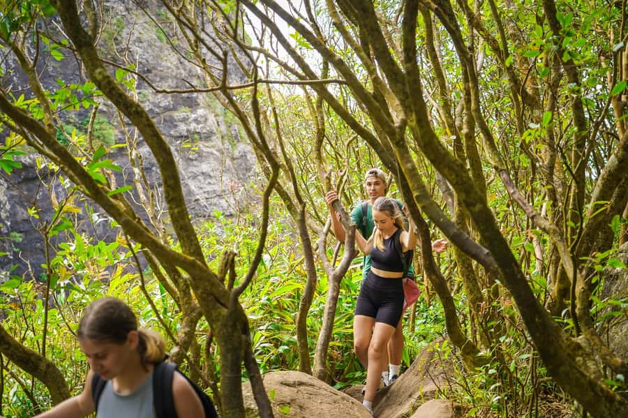 Mauritius: Exploring the Tamarind Falls with a Guide - Who should book Tamarind Falls?