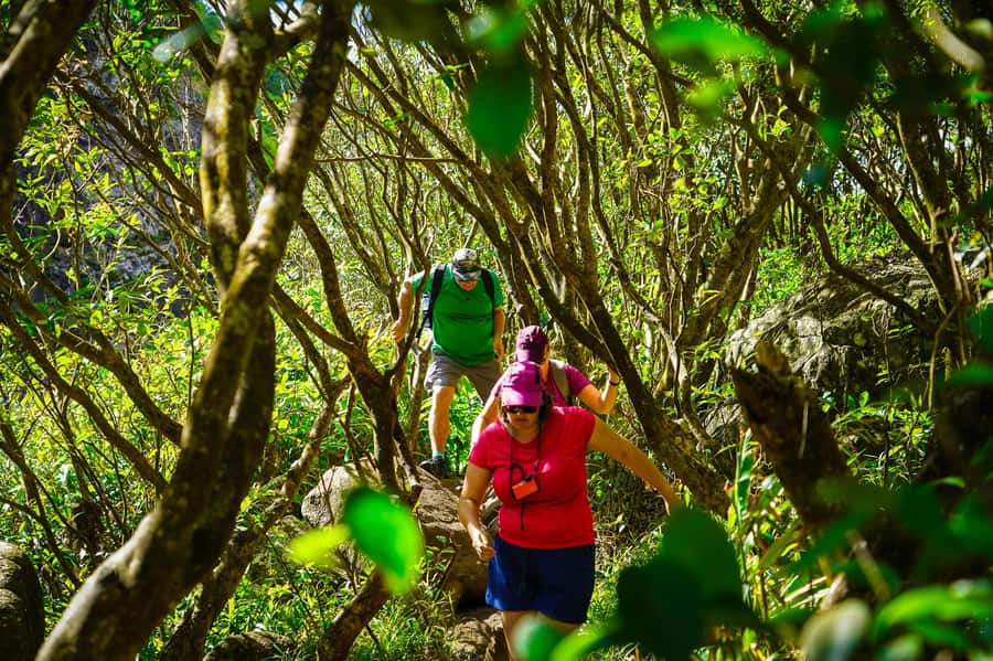 Mauritius: Exploring the Tamarind Falls with a Guide - Swimming pools, fish, and the waterfall massage