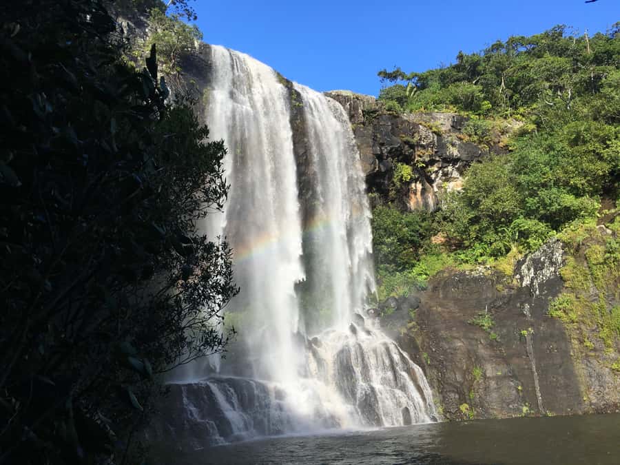 Mauritius: Full Canyon Tamarind Falls 5-Hour Hike - Key points to know before you book