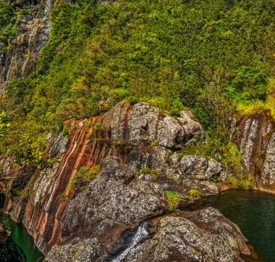 Mauritius: Full Canyon Tamarind Falls 5-Hour Hike - The first waterfall and its cool pool