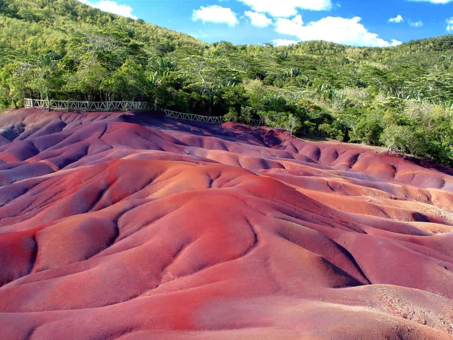 Mauritius: Full Day Private Tour of the South - Trou aux Cerfs and the Curepipe volcano