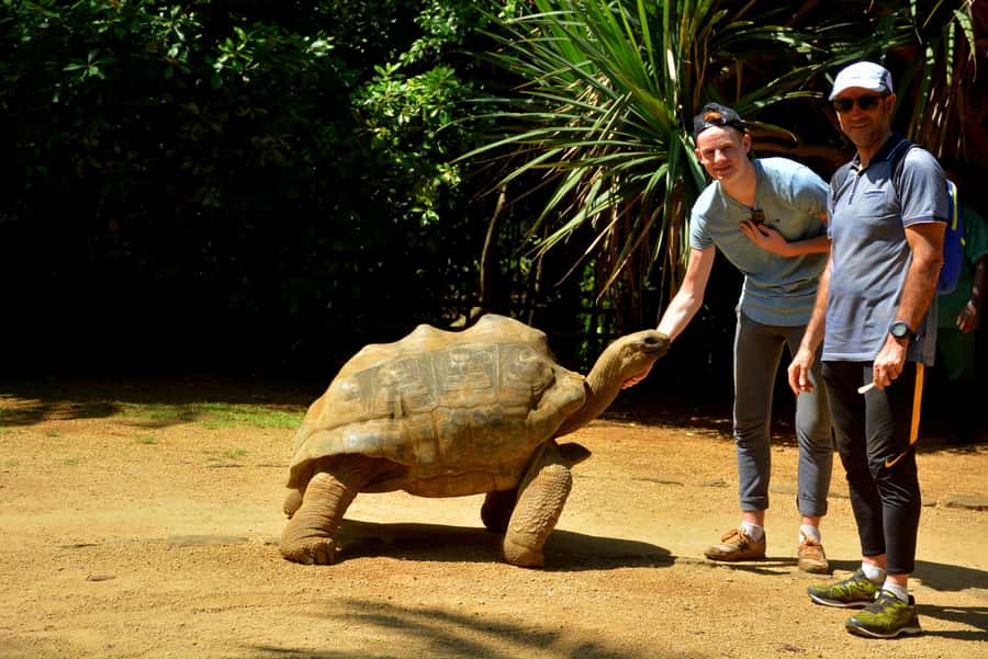 Mauritius: Full-Day Quad Bike Tour with Lunch - Rochester Falls and the optional swim