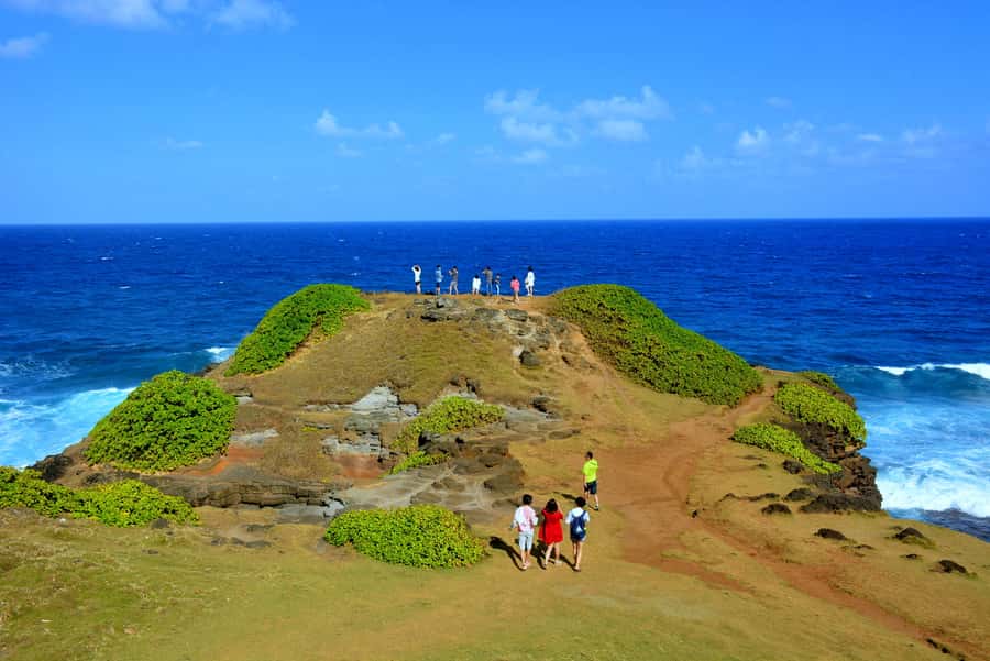 Mauritius: Full-Day Quad Bike Tour with Lunch - Lunch and wildlife at La Vanille Nature Park