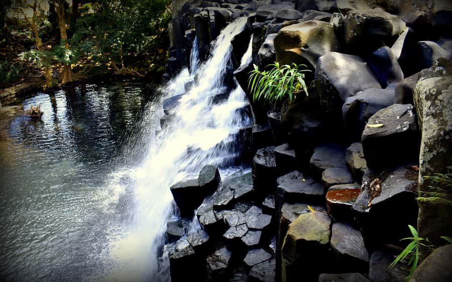 Mauritius: Full-Day Quad Bike Tour with Lunch - What the $296 price really buys you