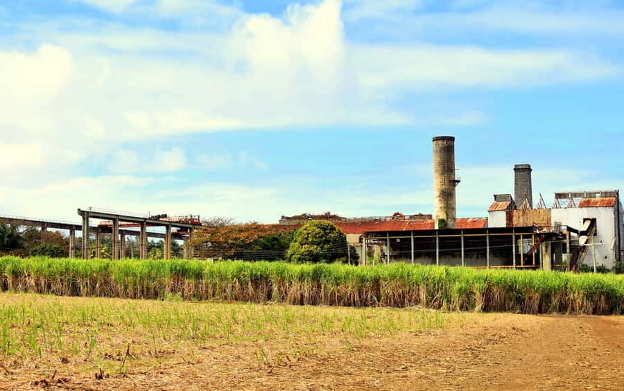 Mauritius: Full-Day Quad Bike Tour with Lunch - Should you book the Big Foot Adventure tour?