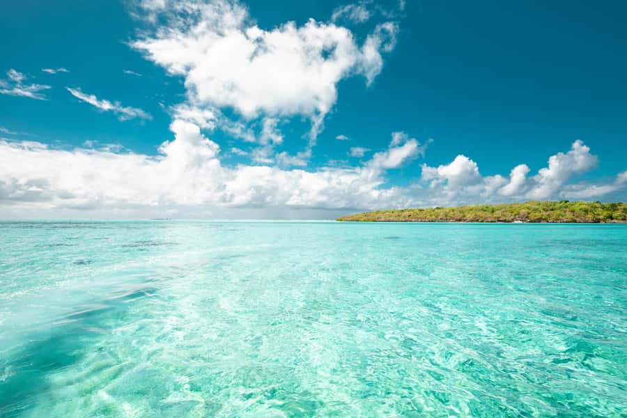 Mauritius: Full-Day Speedboat Tour to Ile aux Cerfs & BBQ - Key points to know before you book
