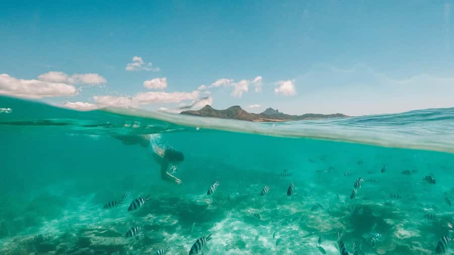 Mauritius: Full-Day Speedboat Tour to Ile aux Cerfs & BBQ - Grand River South East waterfall by speedboat