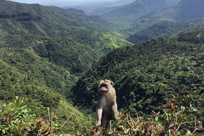 Mauritius full day tour : Private south west with lunch - Coffee, rum, and the Chamarel village setting