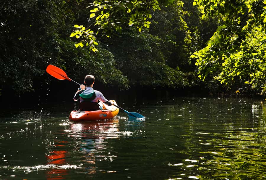 Mauritius: Guided Kayak Tour on Tamarin River - Key points to know before you paddle