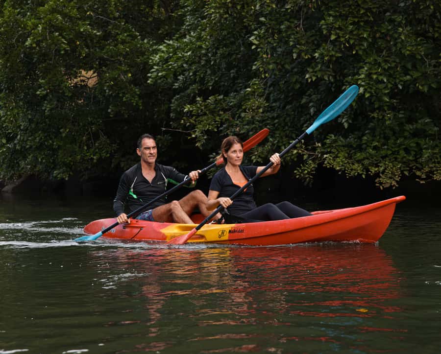 Mauritius: Guided Kayak Tour on Tamarin River - Starting at Tamarin Bay beside the Veranda hotel