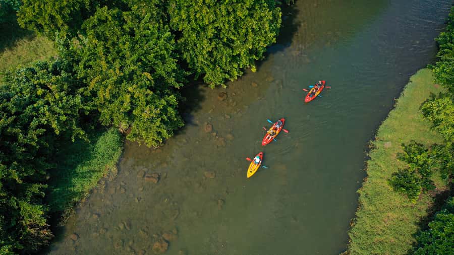 Mauritius: Guided Kayak Tour on Tamarin River - Hearing Tamarin’s story from a local guide