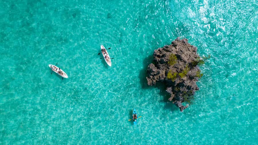 Mauritius: Guided Kayak tour to Benitiers Island - Paddling beneath Morne Brabant